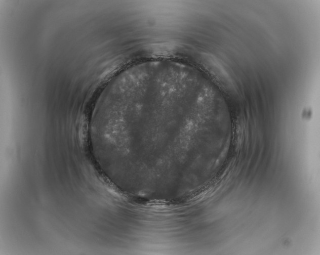 X0000090760228200708101754