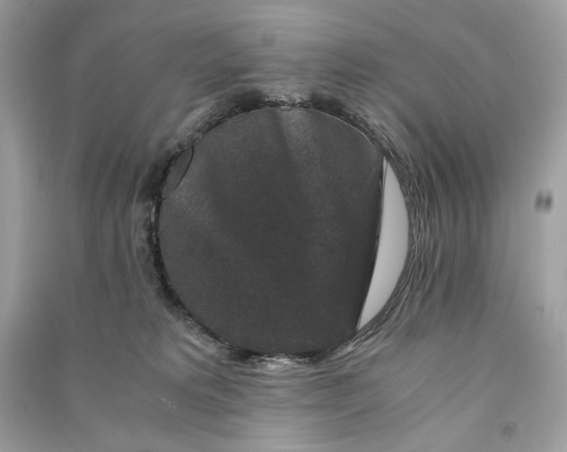 X0000090760229200708101754