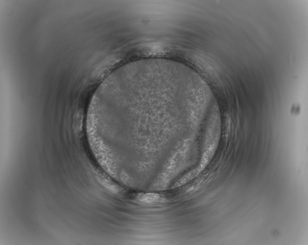 X0000090760230200708101754