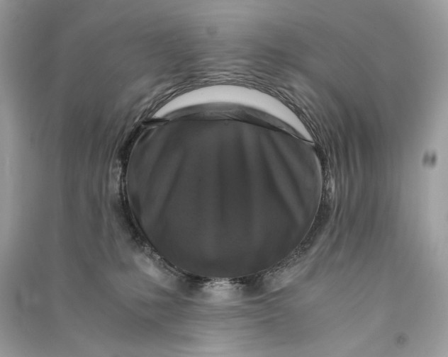 X0000090760231200708101754