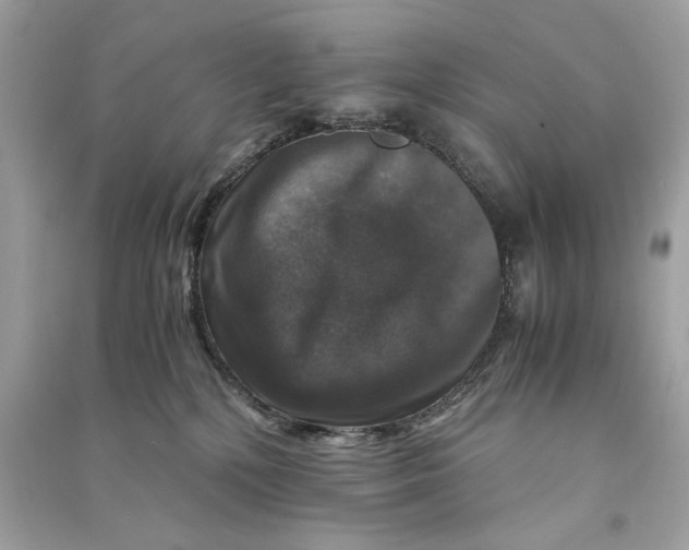 X0000090760232200708101754