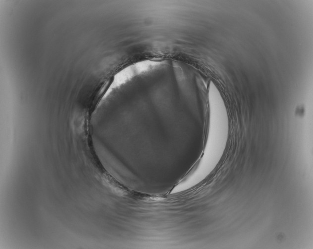 X0000090760233200708101754