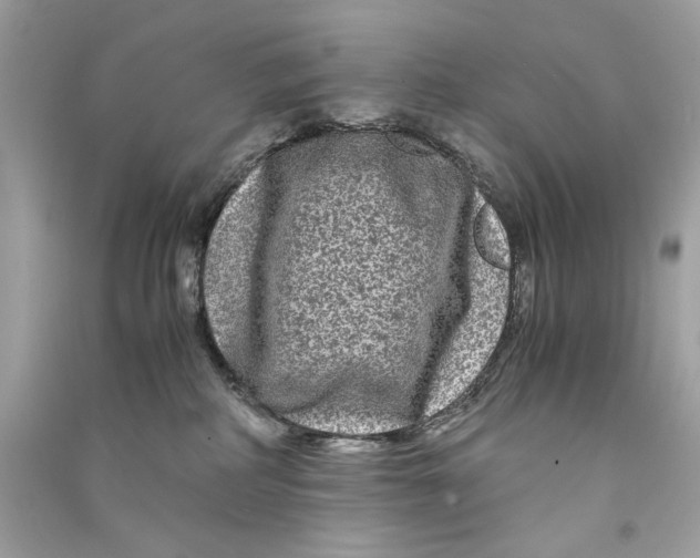 X0000090760234200708101754