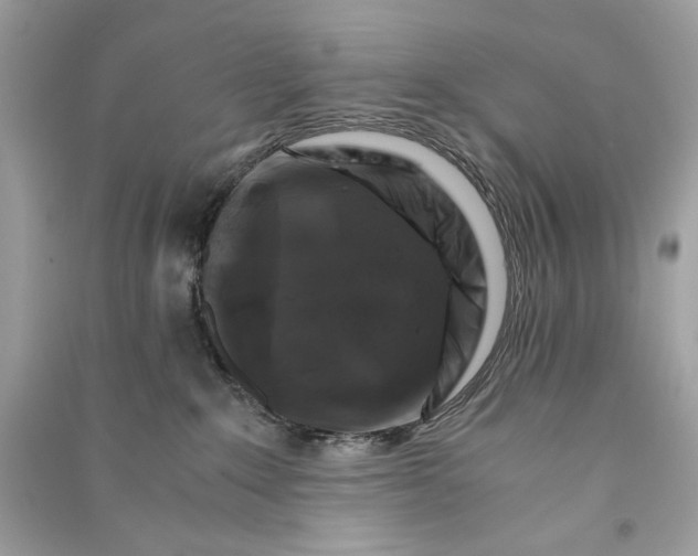 X0000090760235200708101754