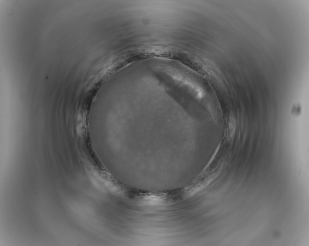 X0000090760236200708101754