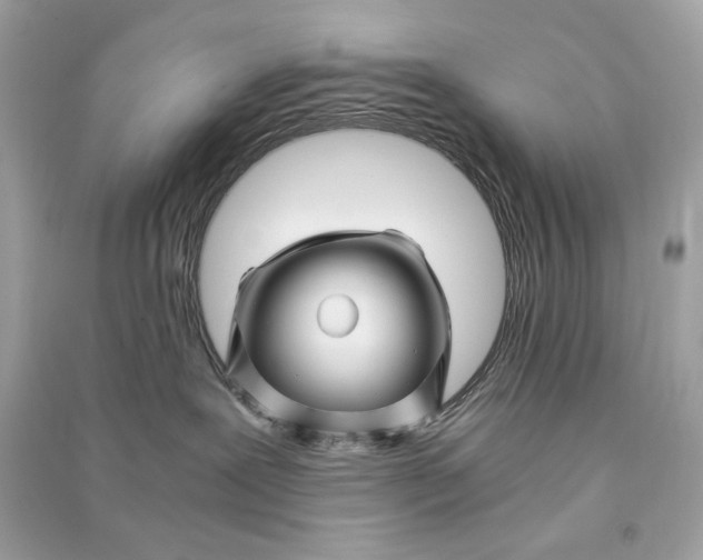 X0000090760239200708101754