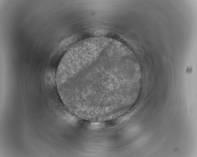 X0000090760240200708101754