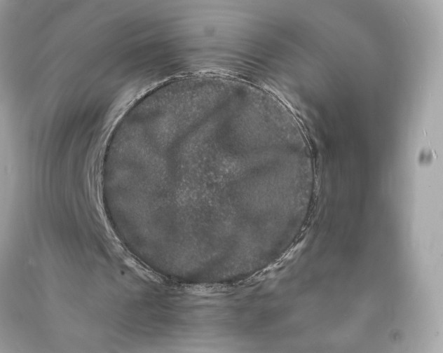 X0000090760241200708101754