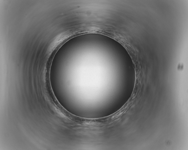 X0000090760242200708101754