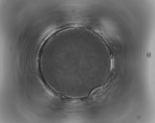 X0000090760243200708101754