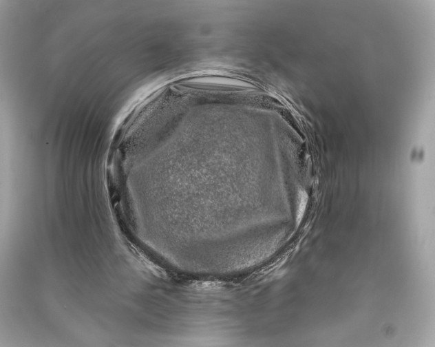 X0000090760244200708101754