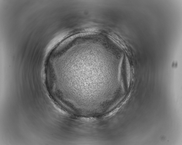 X0000090760245200708101754