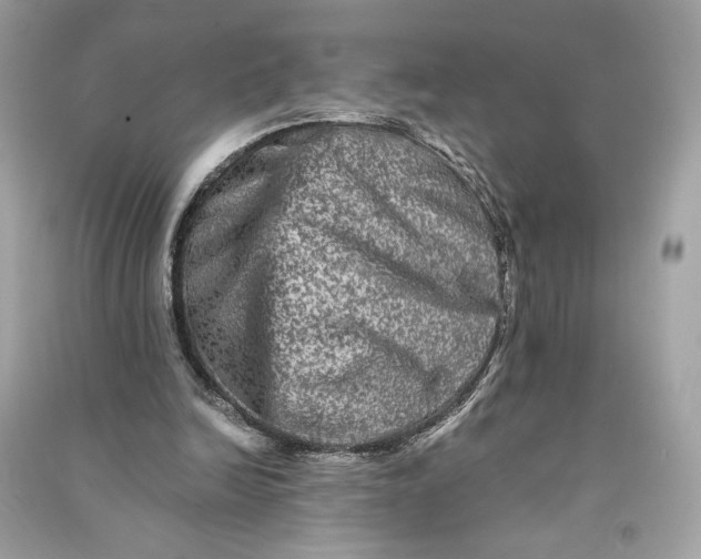 X0000090760246200708101754