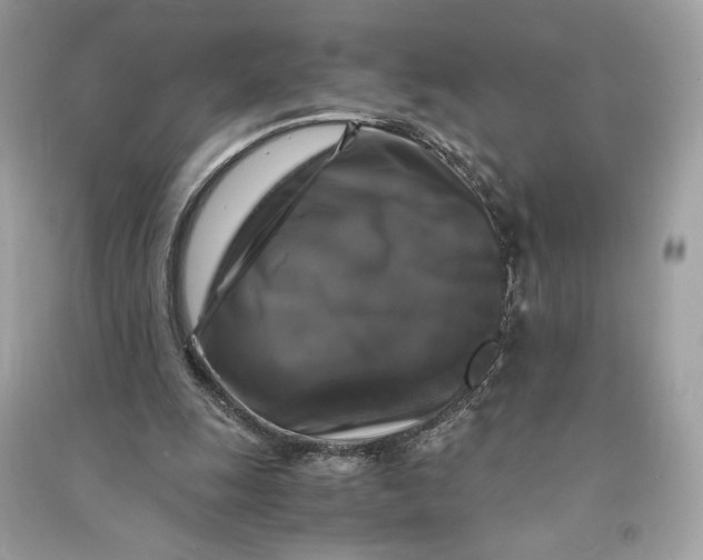 X0000090760247200708101754