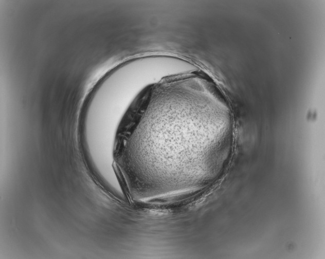 X0000090760248200708101754