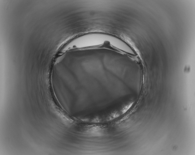 X0000090760249200708101754