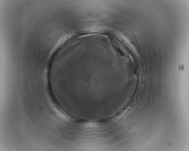 X0000090760250200708101754