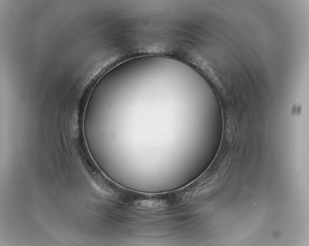 X0000090760251200708101754