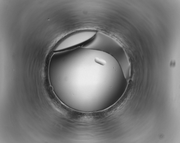 X0000090760252200708101754