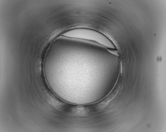 X0000090760253200708101754