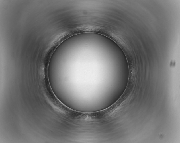 X0000090760254200708101754