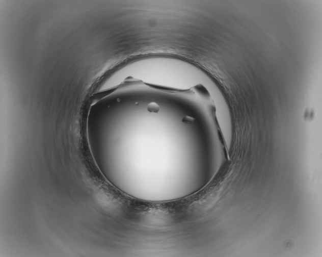 X0000090760256200708101754