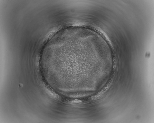 X0000090760257200708101754