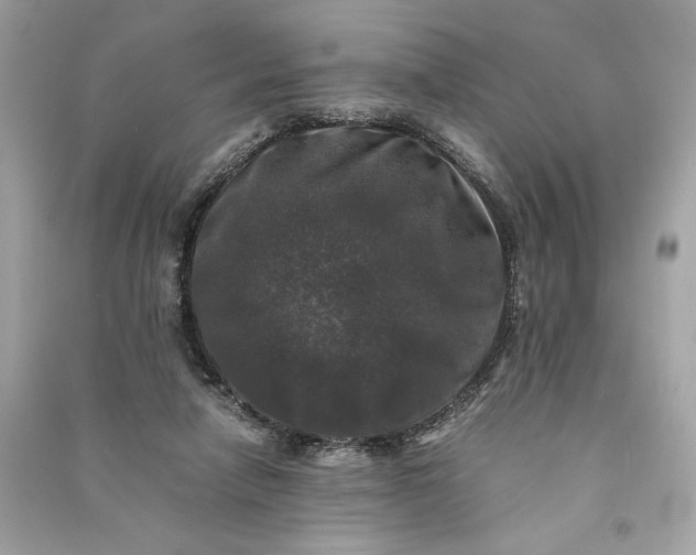 X0000090760258200708101754