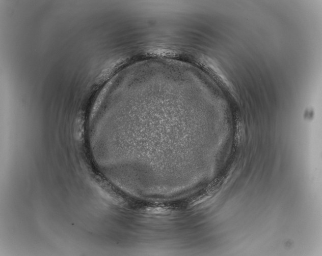 X0000090760259200708101754