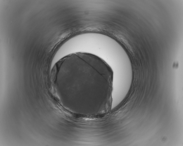 X0000090760260200708101754