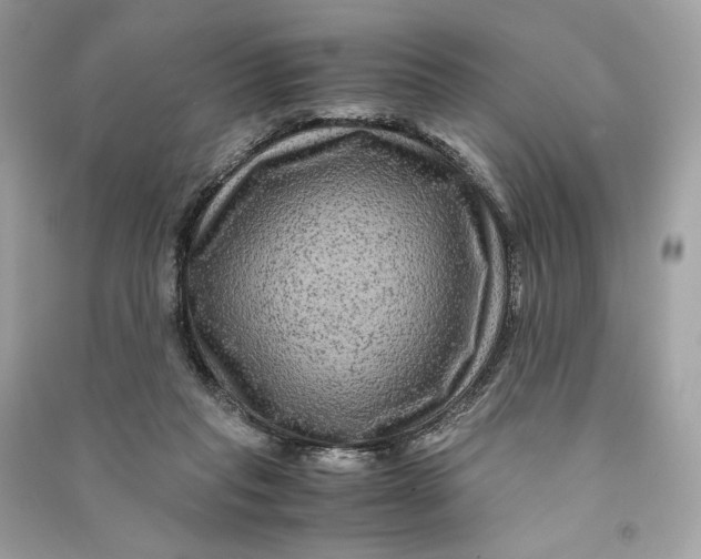 X0000090760261200708101754