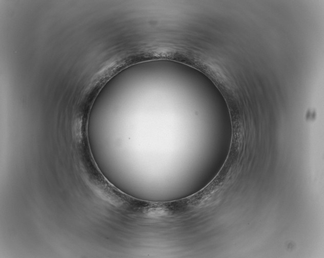 X0000090760262200708101754