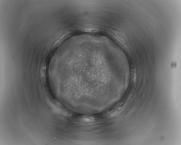 X0000090760263200708101754