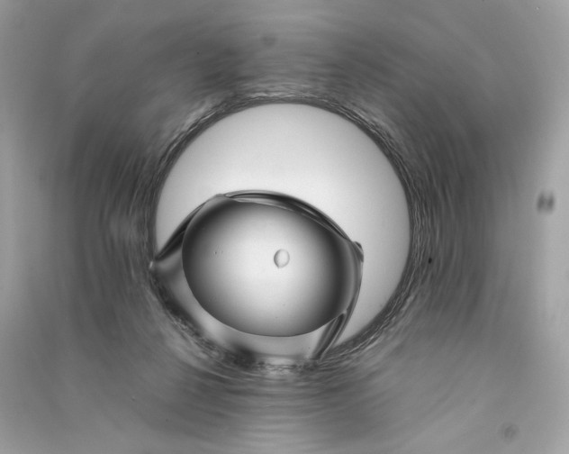 X0000090760264200708101754