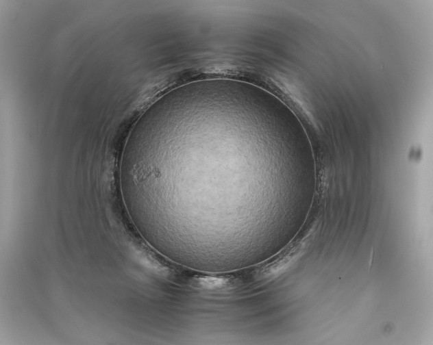 X0000090760265200708101754