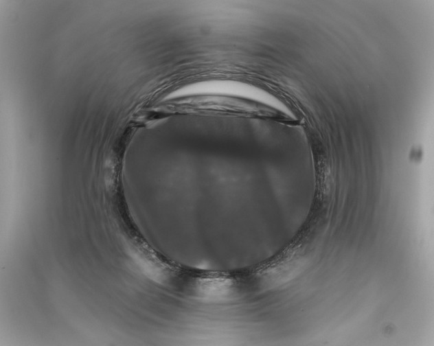 X0000090760266200708101754