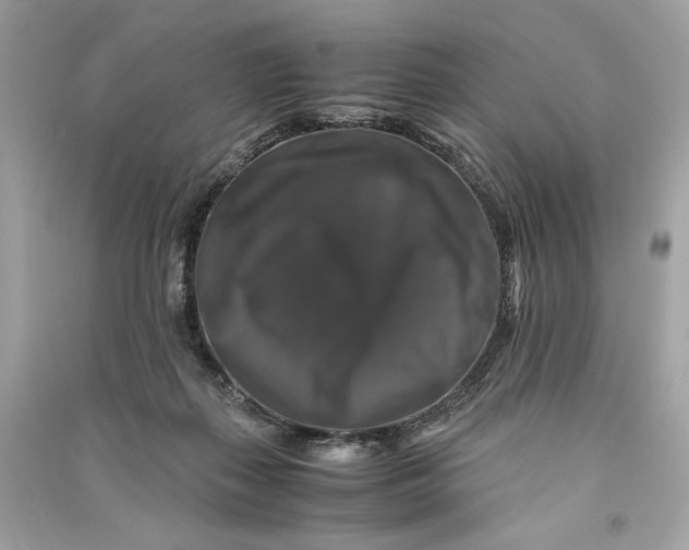 X0000090760267200708101754