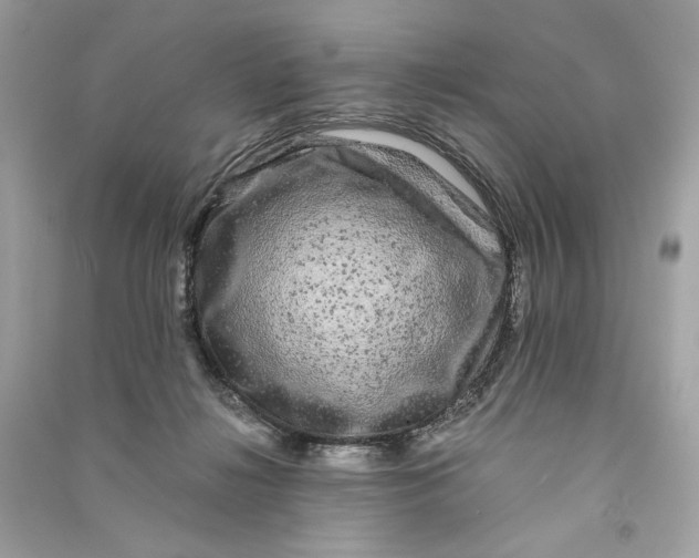 X0000090760268200708101754