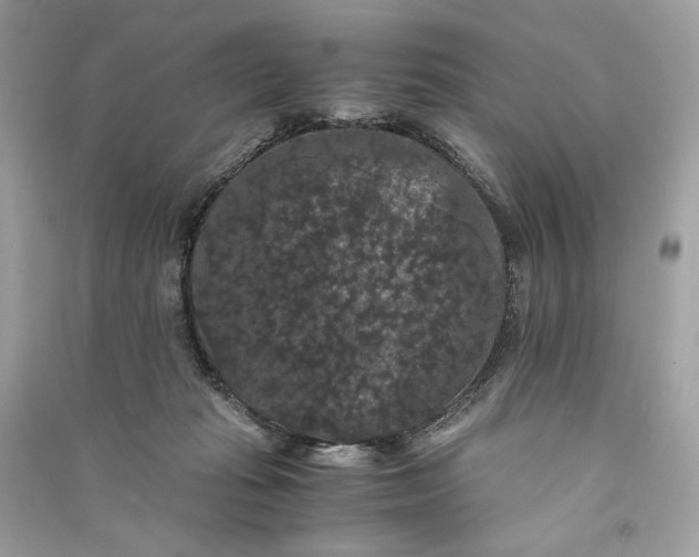 X0000090760269200708101754