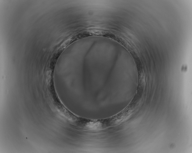 X0000090760271200708101754