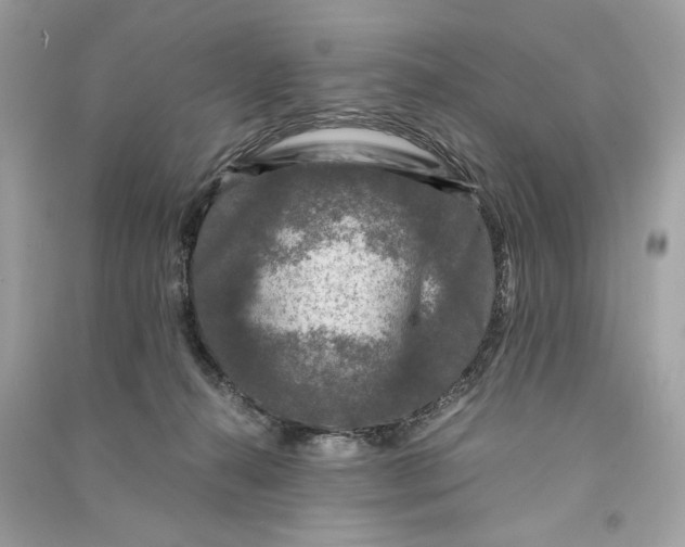 X0000090760272200708101754