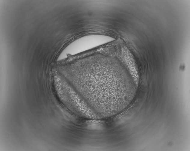 X0000090760273200708101754