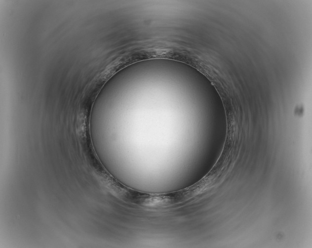 X0000090760274200708101754