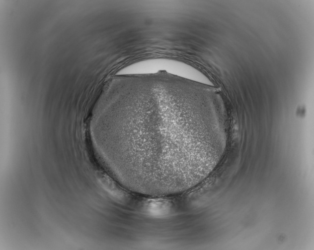 X0000090760275200708101754