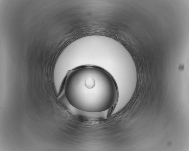 X0000090760276200708101754