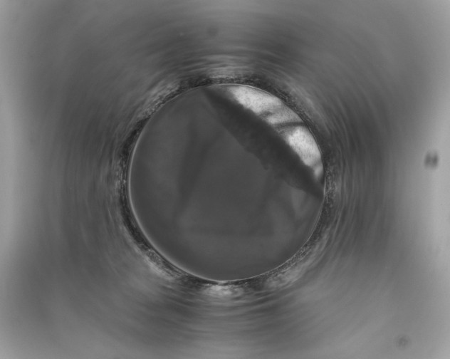 X0000090760277200708101754