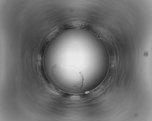 X0000090760279200708101754