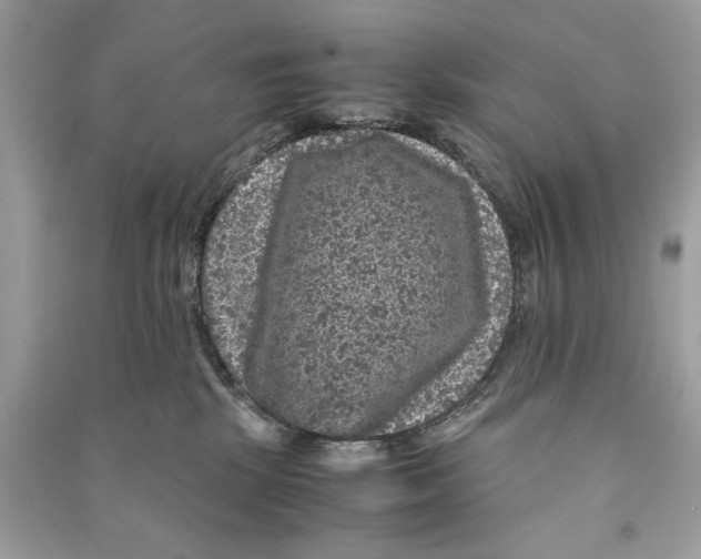 X0000090760281200708101754