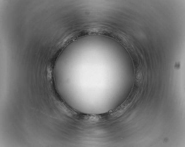 X0000090760282200708101754