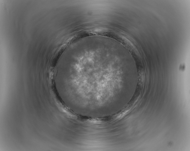 X0000090760284200708101754